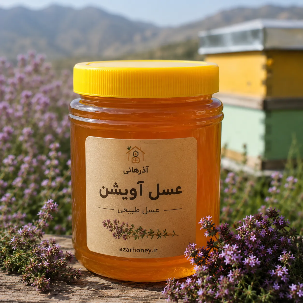 عسل آویشن طبیعی | خرید مستقیم از زنبوردار
